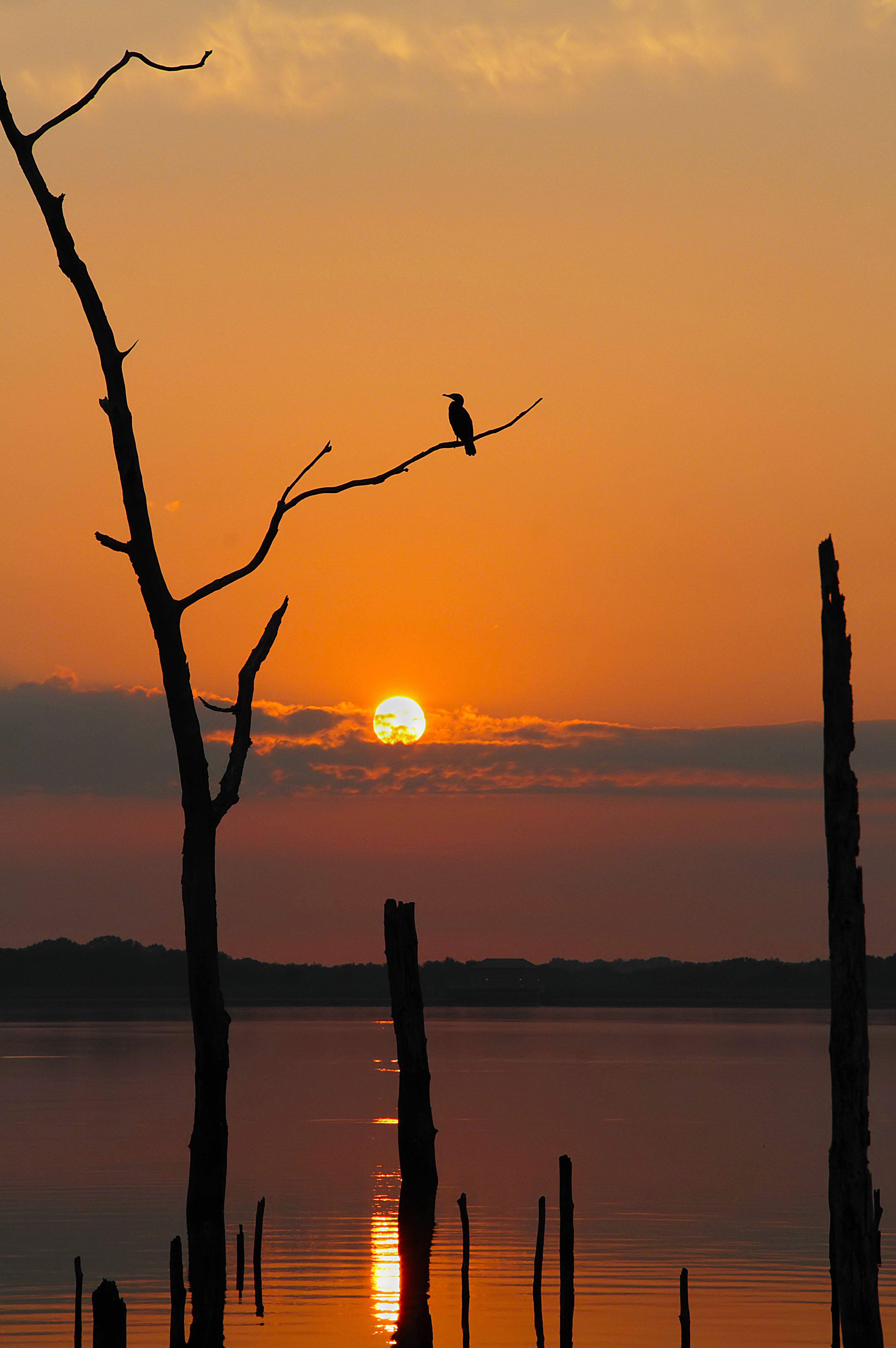 Alone at Sunrise | Shutterbug